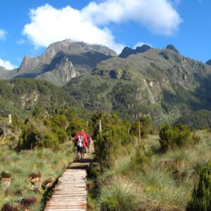 5 Days Rwenzori Mountains Hiking & Safari